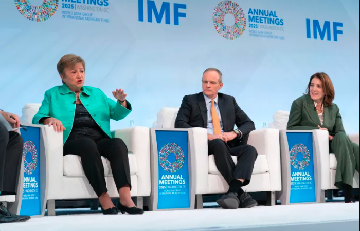 Top countries with the highest IMF debt in 2025